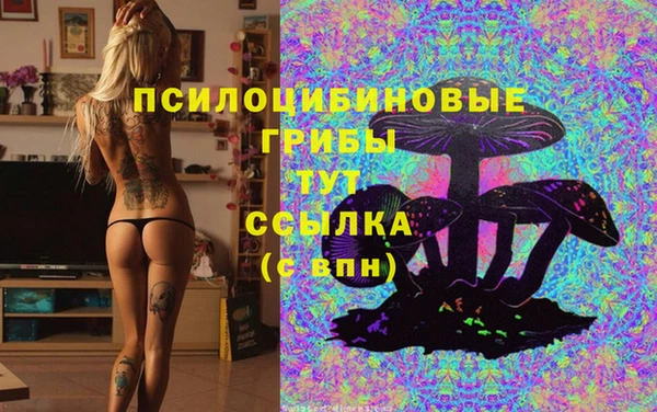 хмурый Покачи