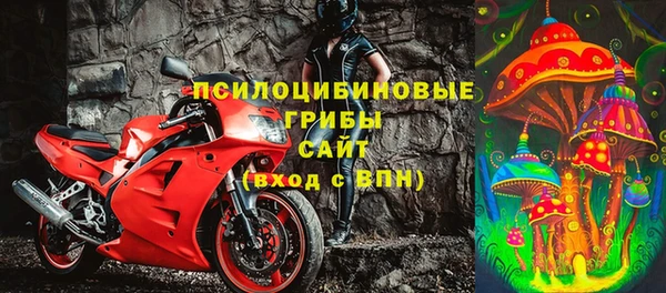 соль ск Балахна